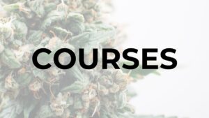Courses
